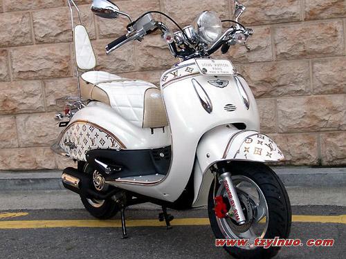 大龜王圖片/大龜王樣板圖 (3)