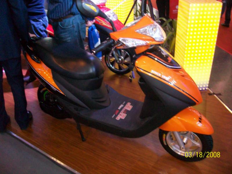 供應(yīng)麗鷹批發(fā)