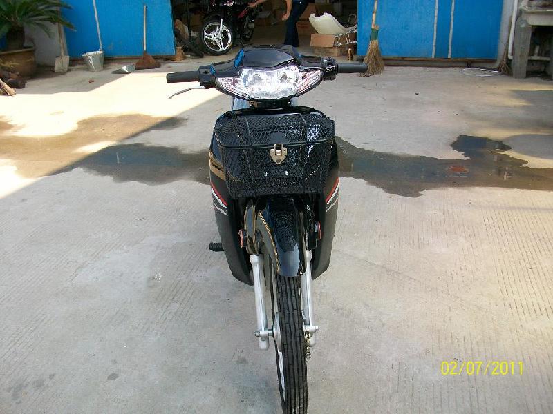 供應(yīng)批發(fā)生產(chǎn)電摩亞洲豹