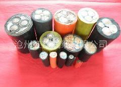 供應(yīng)塑力纜供貨商，塑力纜廠家，塑力纜報(bào)價(jià)