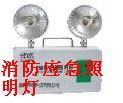 供應(yīng)礦用系列LED防爆巷道燈DGS18/127L