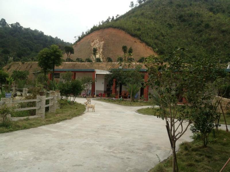 供應(yīng)五一旅游推薦動(dòng)感山溪綠色生態(tài)果莊