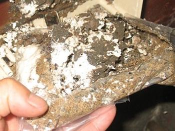 供應(yīng)高州治防的方