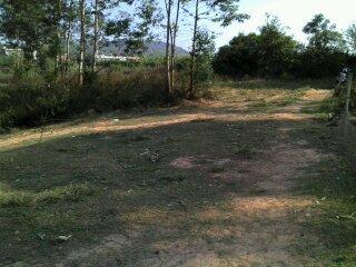 供應(yīng)東莞塘廈鎮(zhèn)地皮10500平米定建