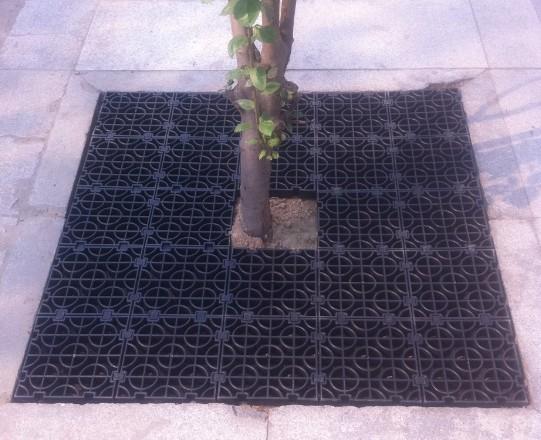 天津樹箅子圖片