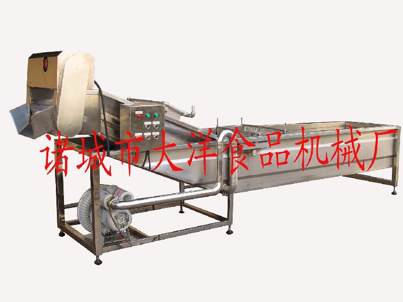 各種蔬菜清洗機、專業(yè)洗姜機、洗菜機、葉類蔬菜清洗機