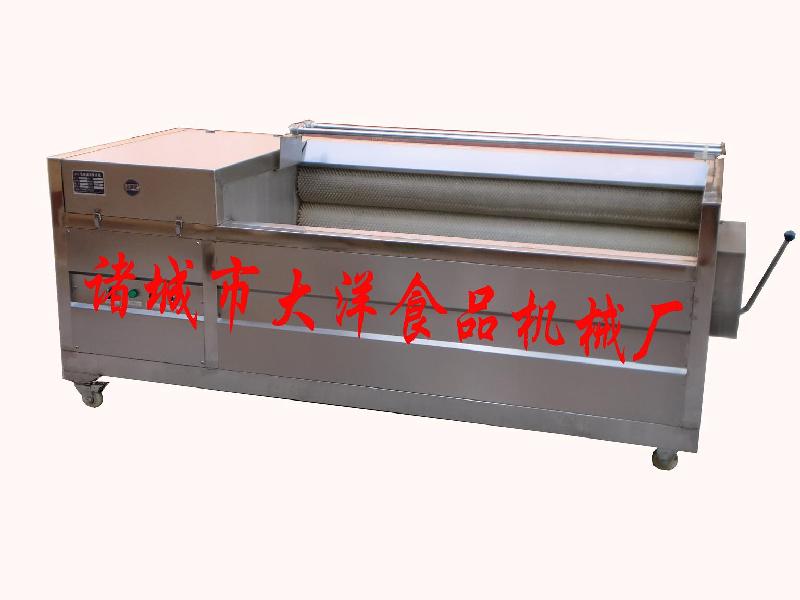 各種蔬菜清洗機、專業(yè)洗姜機、洗菜機、葉類蔬菜清洗機