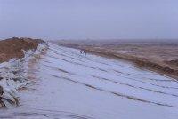 供應(yīng)萊蕪?fù)凉げ级嗌馘X一平米 德州陵縣土工布每平米價格