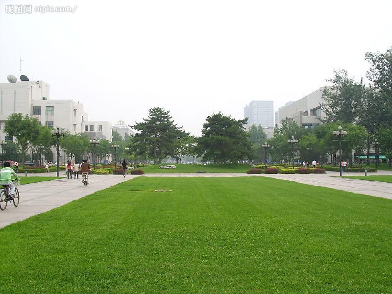 供應(yīng)石家莊老人門球場(chǎng)材料免費(fèi)施工