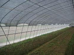 黃驊坑基邊護(hù)欄網(wǎng)銷(xiāo)售處，坑基護(hù)欄網(wǎng)規(guī)格，坑基護(hù)欄網(wǎng)用途