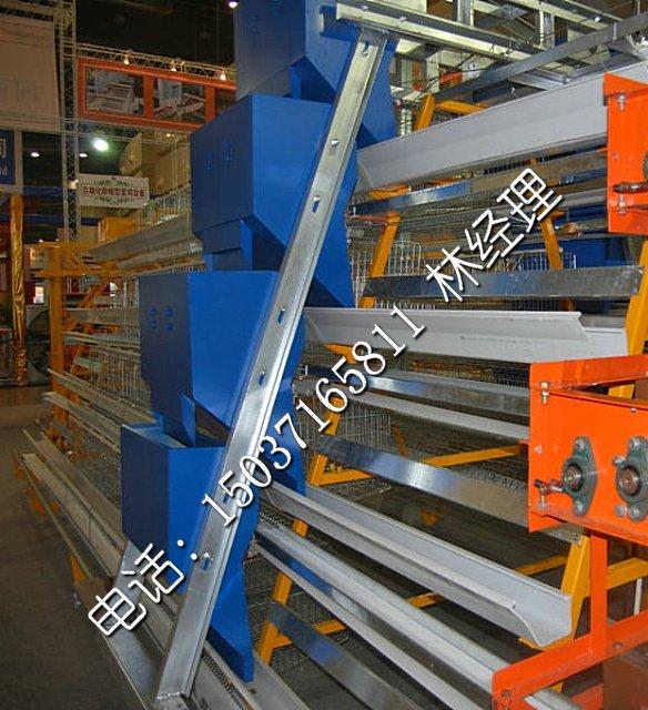 蛋雞養(yǎng)殖設(shè)備圖片/蛋雞養(yǎng)殖設(shè)備樣板圖 (2)