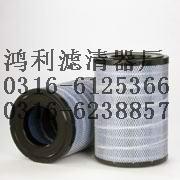 p185109空氣濾芯圖片