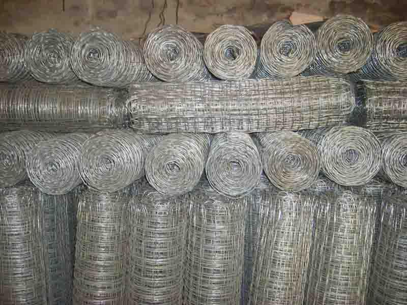 供應(yīng)加工徑緯網(wǎng)