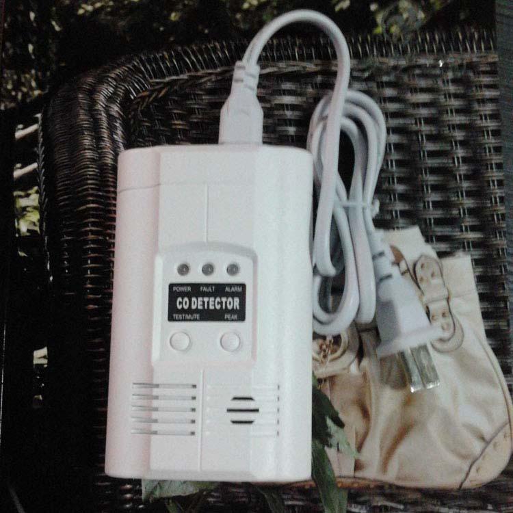 一氧化圖片/一氧化樣板圖 (2)