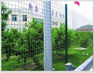 供應(yīng)青島荷蘭網(wǎng)青島波浪形防護(hù)網(wǎng)護(hù)欄網(wǎng)