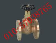 進(jìn)口青銅閘閥北京閘閥圖片