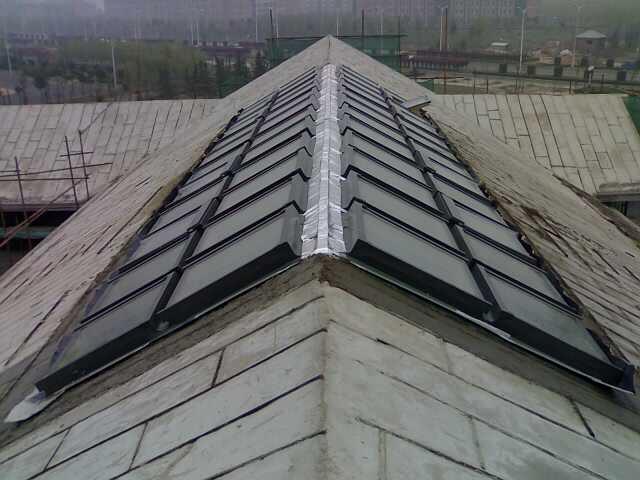 金政企業(yè)   法克羅 固定天窗