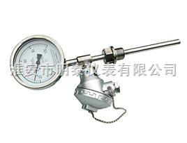 帶熱電偶/熱電阻雙金屬溫度計(jì)圖片