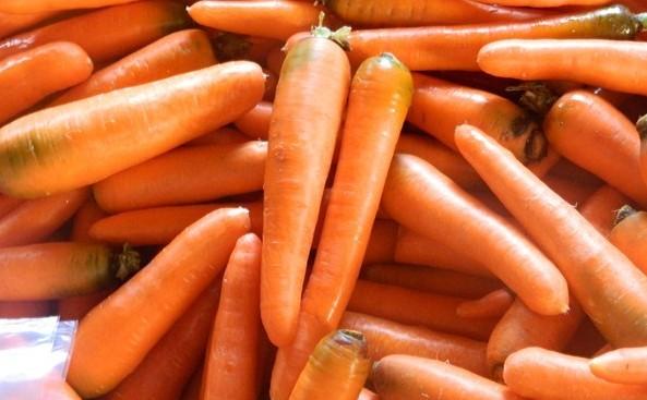 供應(yīng)東北心里美蘿卜價(jià)格*