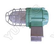 防爆防腐節(jié)能燈  U型防爆節(jié)能燈   防腐u型節(jié)能燈