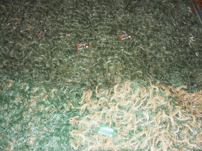 供應(yīng)迷彩松針偽裝網(wǎng)