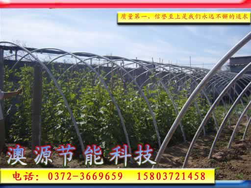 供應(yīng)安陽澳源節(jié)能大棚廠家報價