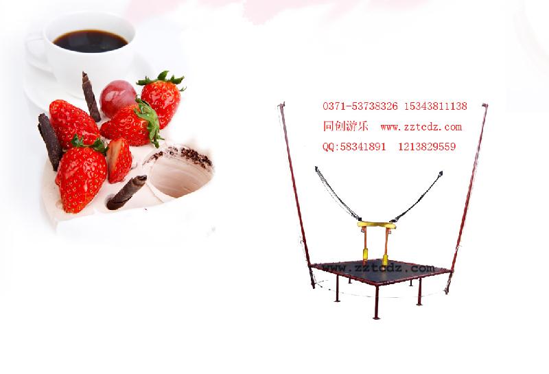 供應(yīng)兒童蹦極床供應(yīng)商兒童蹦極床制造商兒童蹦極生產(chǎn)商