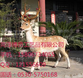 供應(yīng)站梅花鹿