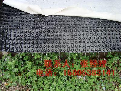 濟(jì)南塑料排水板*濰坊車庫蓄排水板濟(jì)寧排水板