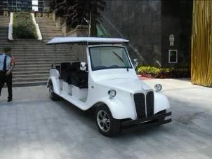 傲虎電動8座老爺車圖片