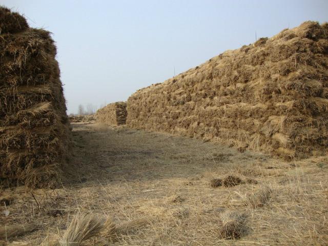 供應稻草繩北京采購，稻草繩廠家直銷，稻草繩質(zhì)優(yōu)價廉*鑫淼