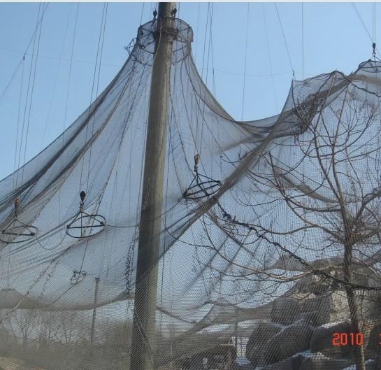 供應(yīng)動物園圍網(wǎng)/鳥網(wǎng)/安平圍網(wǎng)