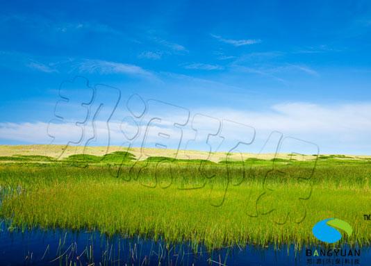 供應(yīng)人工生態(tài)濕地