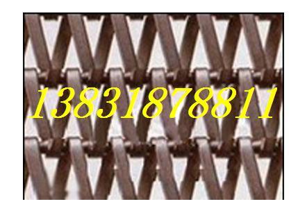 江西不銹鋼輸送帶供應(yīng)商圖片