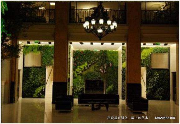 稻森植物墻無土垂直綠化倡導者