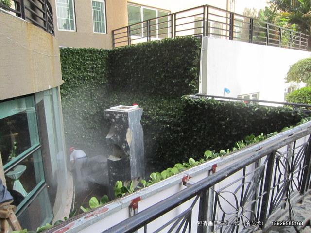 廣東的垂直綠化