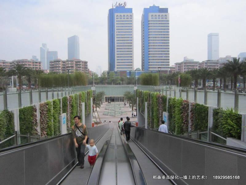 布蘭克植物墻驚現(xiàn)廣州新中軸圖片