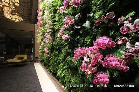 稻森垂直綠化-墻上的藝術(shù)！稻森垂直綠化墻上的藝術(shù)