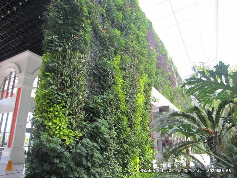 專業(yè)設計屋頂綠化，深圳專業(yè)設計屋頂綠化，珠海專業(yè)設計屋頂綠化