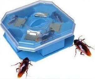 高效滅蟑產(chǎn)品圖片