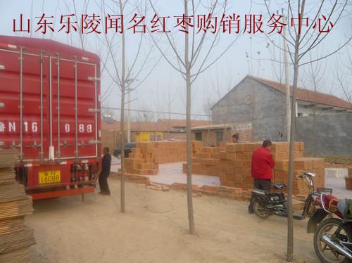 供應(yīng)一級樂陵金絲小棗干棗價格比去年每斤下降3元