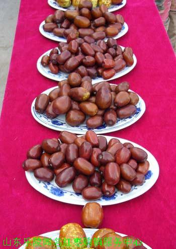 常年供應(yīng)山東樂陵長(zhǎng)紅大棗