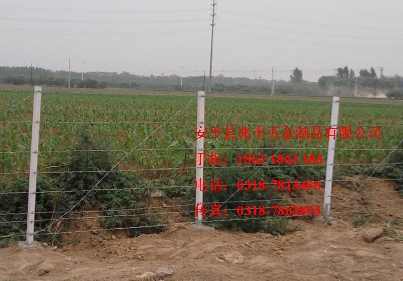 供應(yīng)*復合立柱