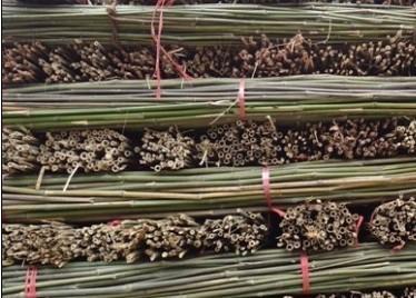 新鮮菜架竹圖片