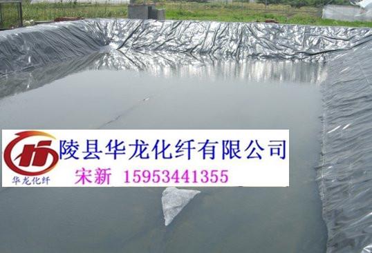 黑色蝦塘膜生產(chǎn)廠家圖片