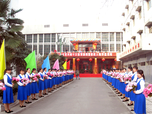 供應鄭州房產策劃公司/鄭州禮儀公司