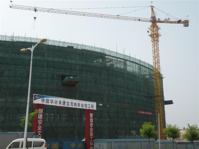 供應(yīng)塔吊廠家，塔吊廠家直銷，塔吊價格*，歡迎選購