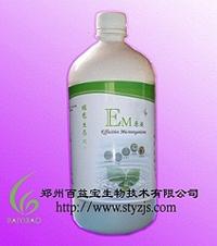 百益宝Em菌液养殖黄鳝蚯蚓的方法图片