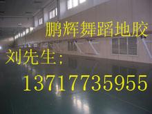 舞蹈地板圖片/舞蹈地板樣板圖 (3)