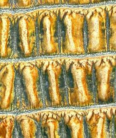 壓花版廠家圖片